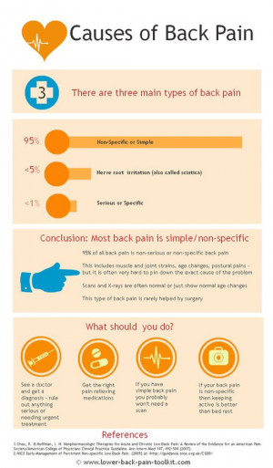 Source: http://www.lower-back-pain-toolkit.com/Cause-of-lower-back ...