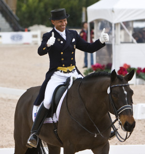 horse with amazing gaits can cover up even the most un-amazing ...