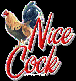 Dirty Flirty Comments and Graphics