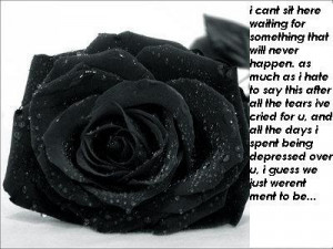 Black Rose Quotes. QuotesGram