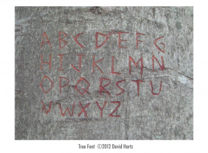 tree carving font