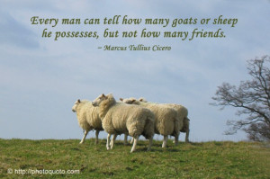 Black Sheep Quotes And Sayings Or sheep he possesses,