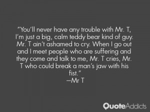 You'll never have any trouble with Mr. T, I'm just a big, calm teddy ...