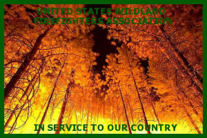 Wildland Firefighter Graphics Wildland fire