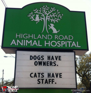 ... vet sign, funny, vet, sign, vet, marquee, dogs have owners cats have