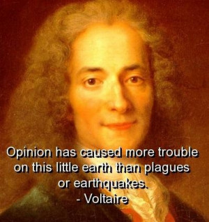 Voltaire quotes and sayings wisdom trouble meaningful