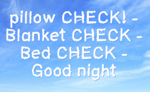 pillow check blanket check bed check good night