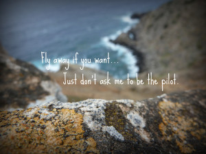 Fly Away If You Want ~ Break Up Quote