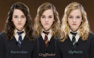Harry Potter Hermione Granger