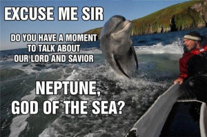 funny dolphin pictures