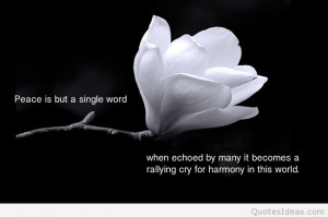 peace_quotes
