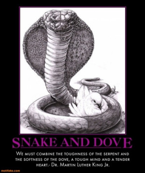 SNAKE AND DOVE -