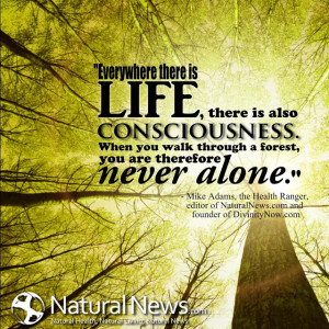 Everywhere there is life, there is also consciousness. When you walk ...