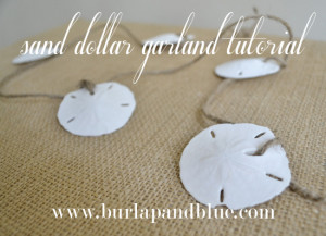 Sand Dollars (use this ebay search to find them inexpensively)