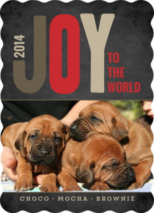 Dog Holiday Card Sayings