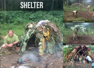 Pygmy People Teeth Marmoset