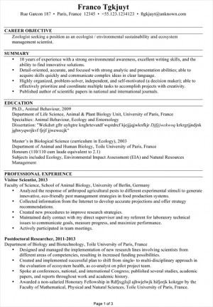 Using Resume Templates From Susan Ireland Ready Made Resumes