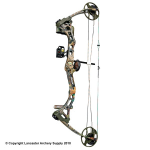 Bear Apprentice Youth...