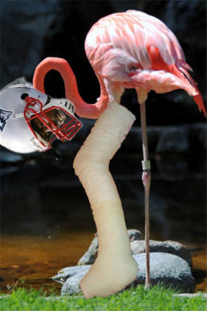 randy moss jordan 39 s