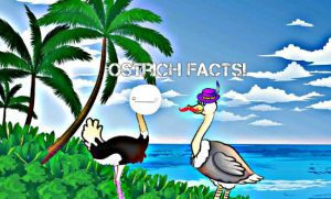 Ostrich facts With Markiplier and Cry! by Caitynak