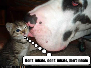 ... dog poetry 2 by patricia dog poetry 2 by patricia god and dog poem