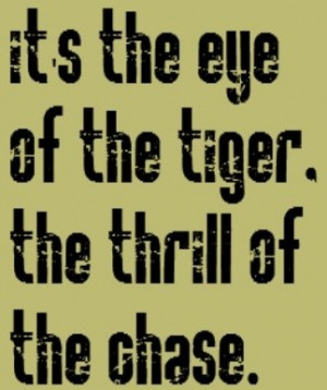 , music, quotesEye Of The Tigers Songs, Songs Lyrics, Music Quotes ...