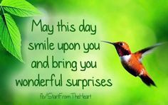 Hummingbird quote via www.Facebook.com/StartFromTheHeart