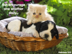 Therefore encourage one another and build each other up , just as in ...