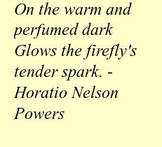 ... nelson powers perfume darkglow perfume quotes inspiration quotes