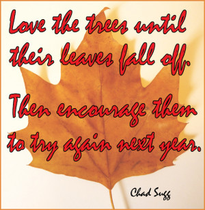 Funny Fall Love Quote Quotes...