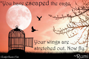 You Have Escaped The Cage Your Wings Are Stretched Out Now Fly