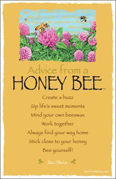 Advice from a Honey Bee Frameable Art Postcard | #quotes pinned by ...