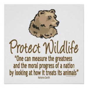Protect Wildlife, Ursus, Bears Poster