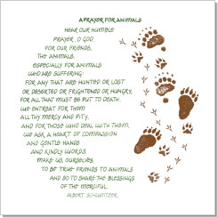 Prayer for Animals, Albert Schweitzer, Calligraphy Art Plaques ...