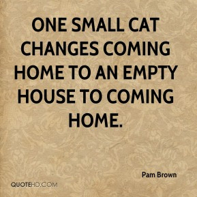 ... One small cat changes coming home to an empty house to coming home