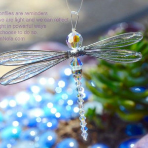 ... to shine your beautiful light for all to see # dragonfly # light