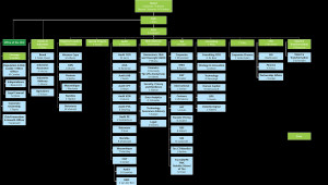 Deloitte Organizational Structure
