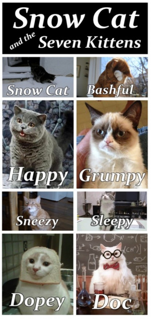 Snow-Cat-And-The-Seven-Kittensfunny-animals-grumpycat-487x1024.jpg