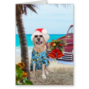 Funny Lab/Dog Hawaiian/Surfer Christmas Card