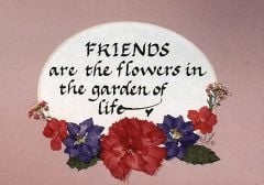 Caring Quotes For Friends Friendship/friend quotes and