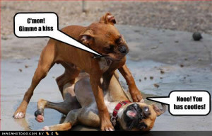 Funny Pics,Funny Animals, Funny Moments, Funny Kids, Funny People ...