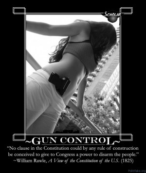 2nd-amendment-gun-control-2nd-amendment-gun-control-political-poster ...