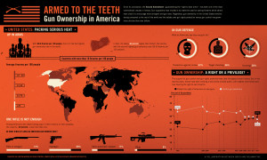 Just How Many Guns Do Americans Own? (INFOGRAPHIC)