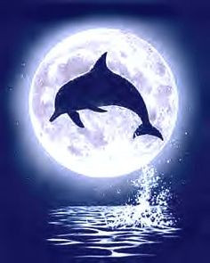 Moon Dolphin Photo: This Photo was uploaded by Justabusylady13. Find ...