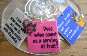 12 Funny Wine Sayings Wine Charms 'Your Wine Glasses deserve COOL ...