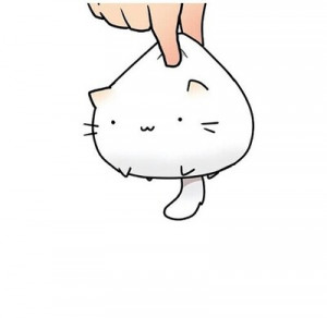 adorable, cat, cute, fat, fluffy, overlays, transparent, tumblr