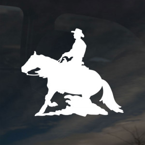 Sticker shown is white on a dark tinted window