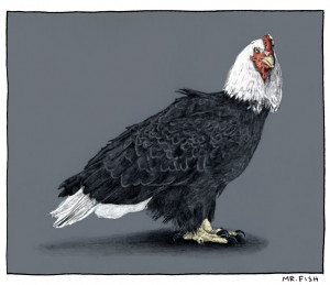 Chickenhawk Politics