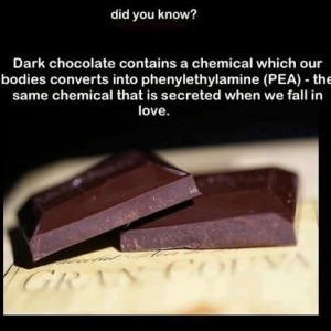 Why chocolate tastes so good