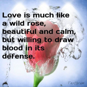 wild love is much like a wild rose beautiful and calm but willing to ...